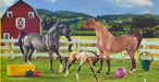 Breyer Classics A Champion Is Born    
