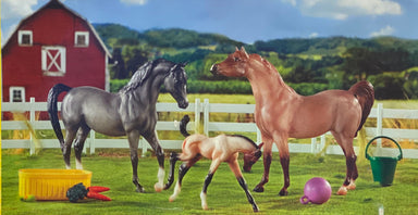 Breyer Classics A Champion Is Born    