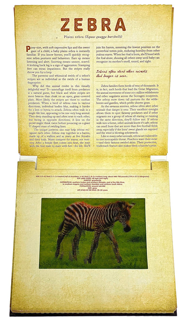 Safari - A Photicular Book    