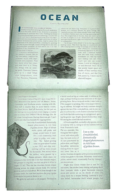 Ocean - A Photicular Book    