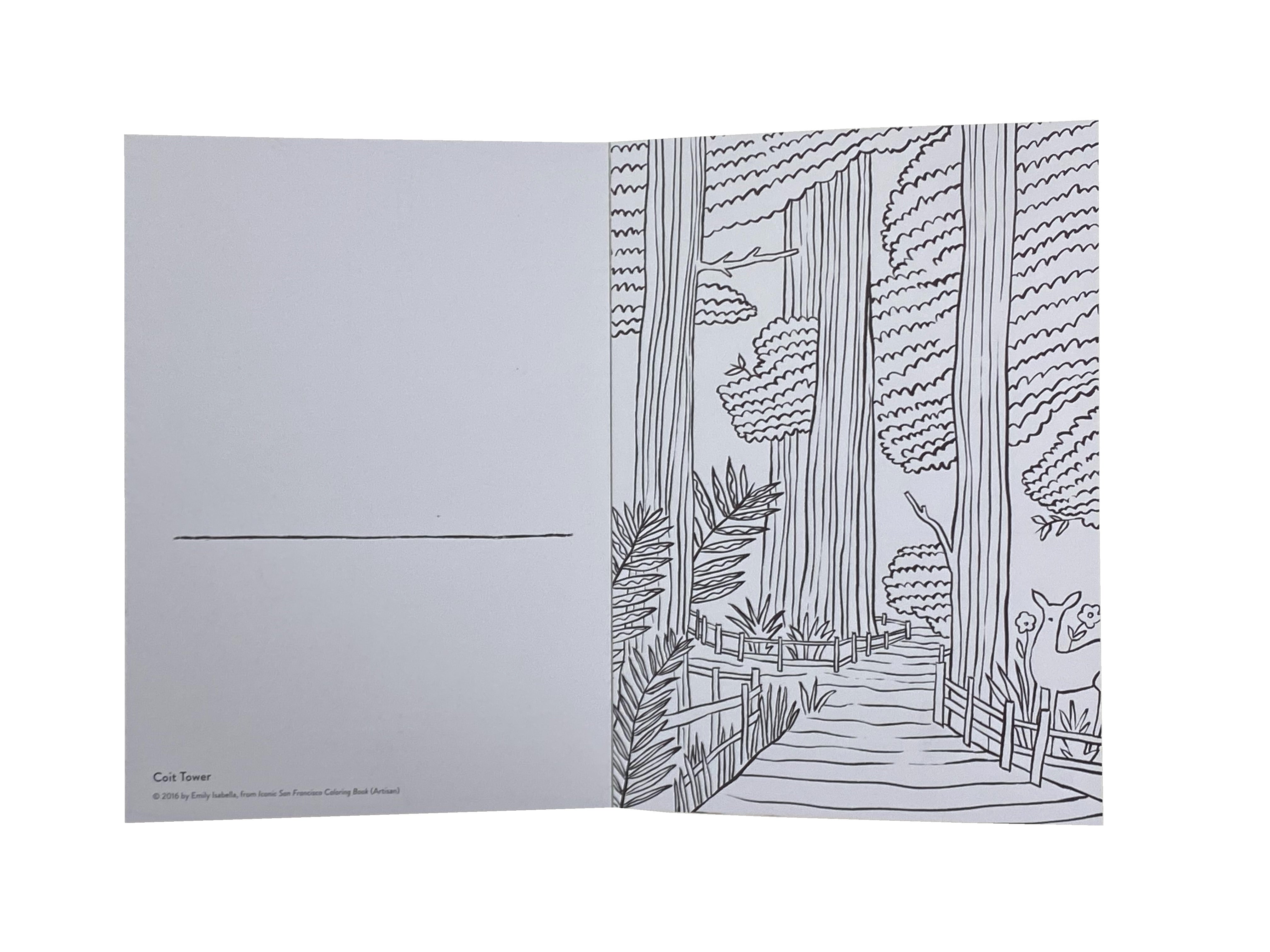 Iconic San Francisco Coloring Book    