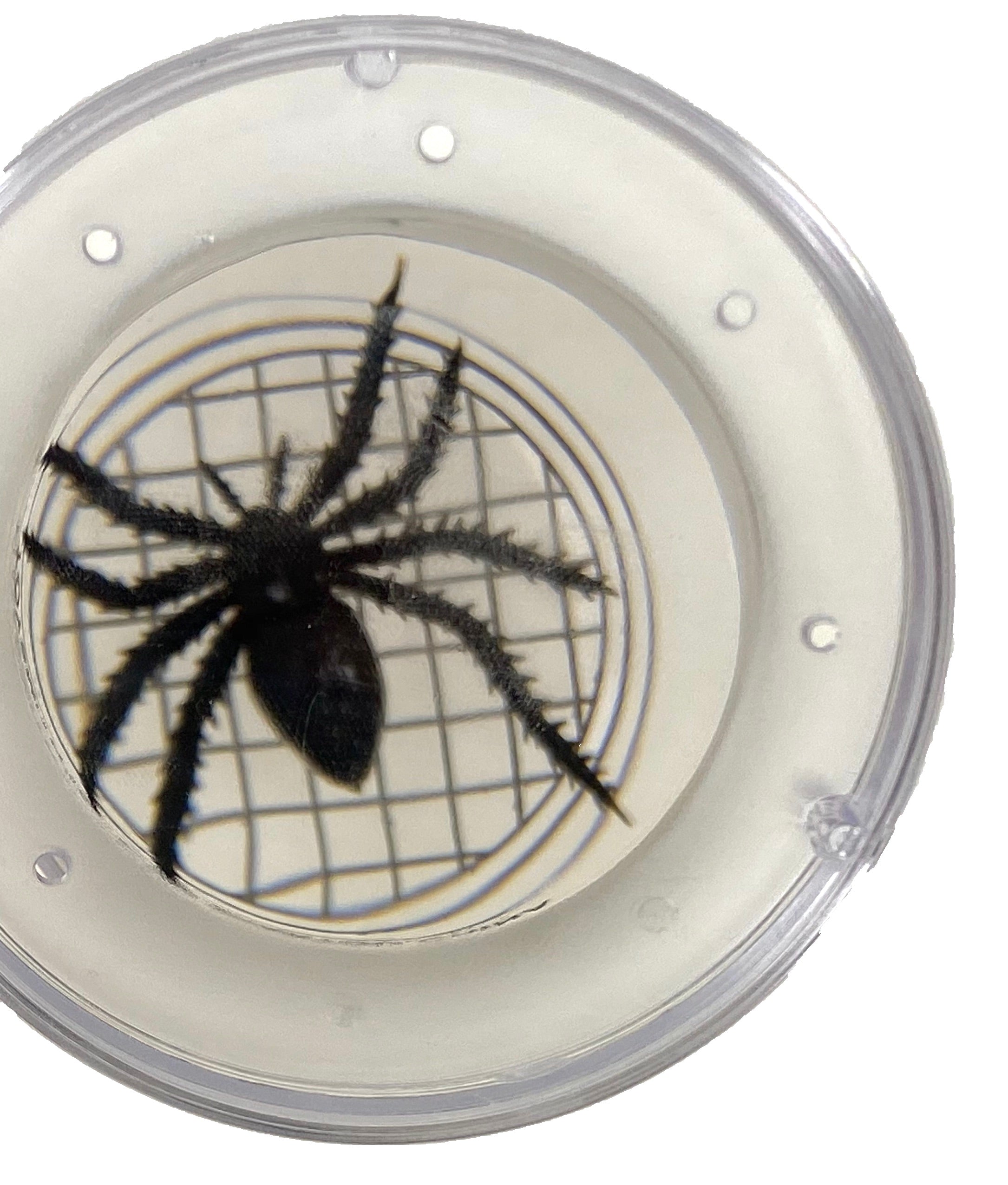 Magnifying Bug Viewer    