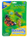 Butterfly Life Cycle Stages    