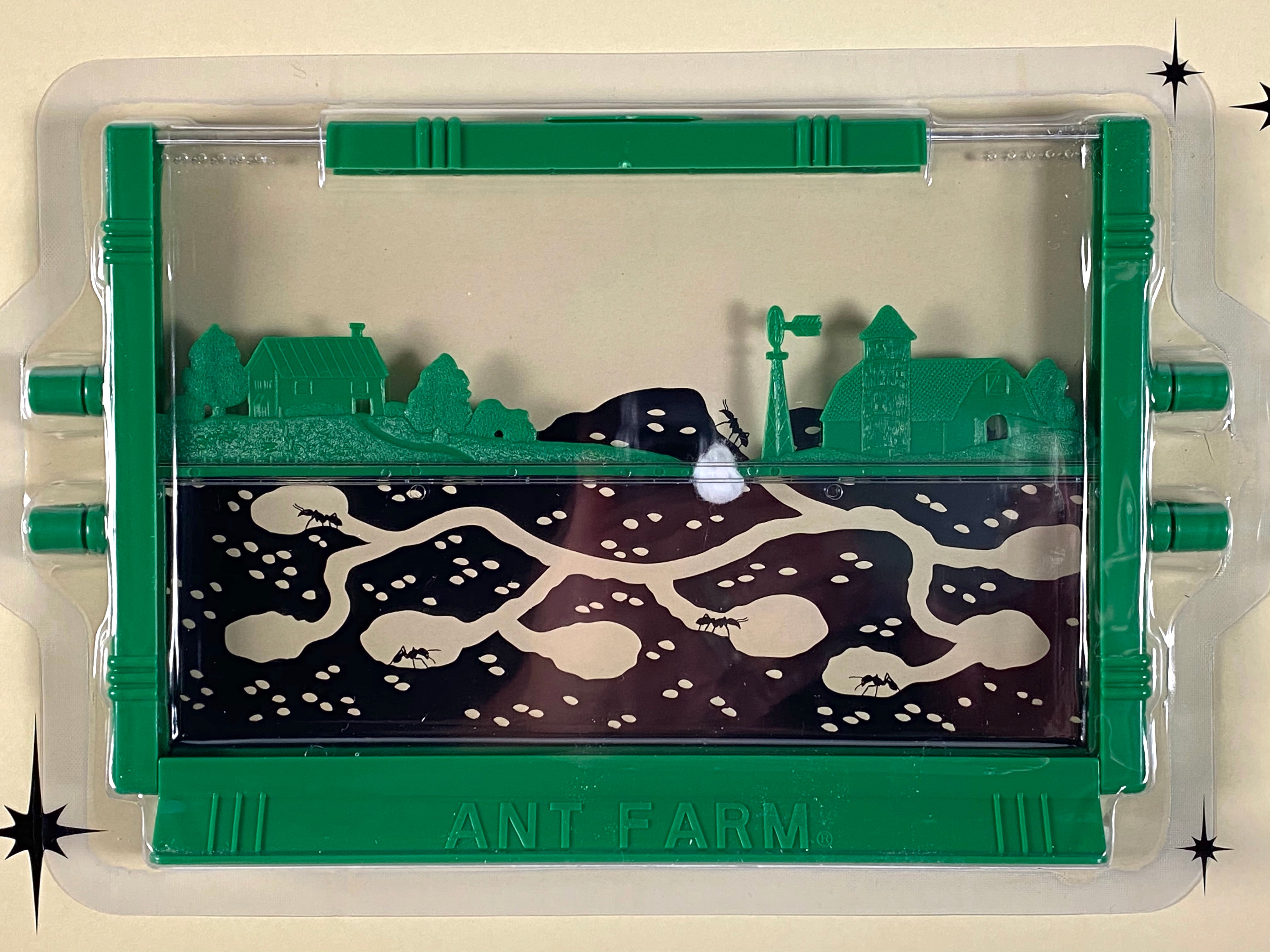 Fascinating Ant Farm - Live Ant Habitat    