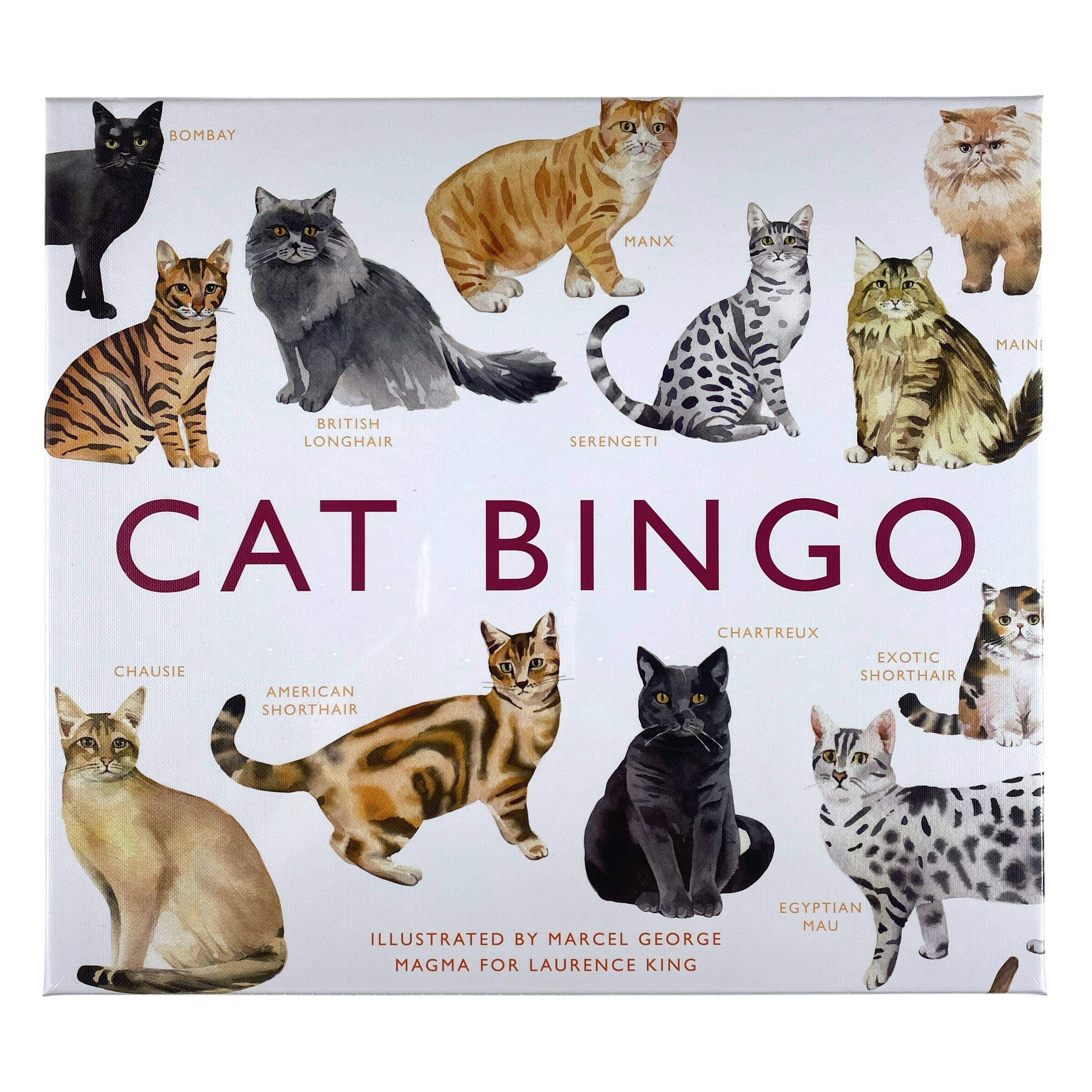 Cat Bingo    
