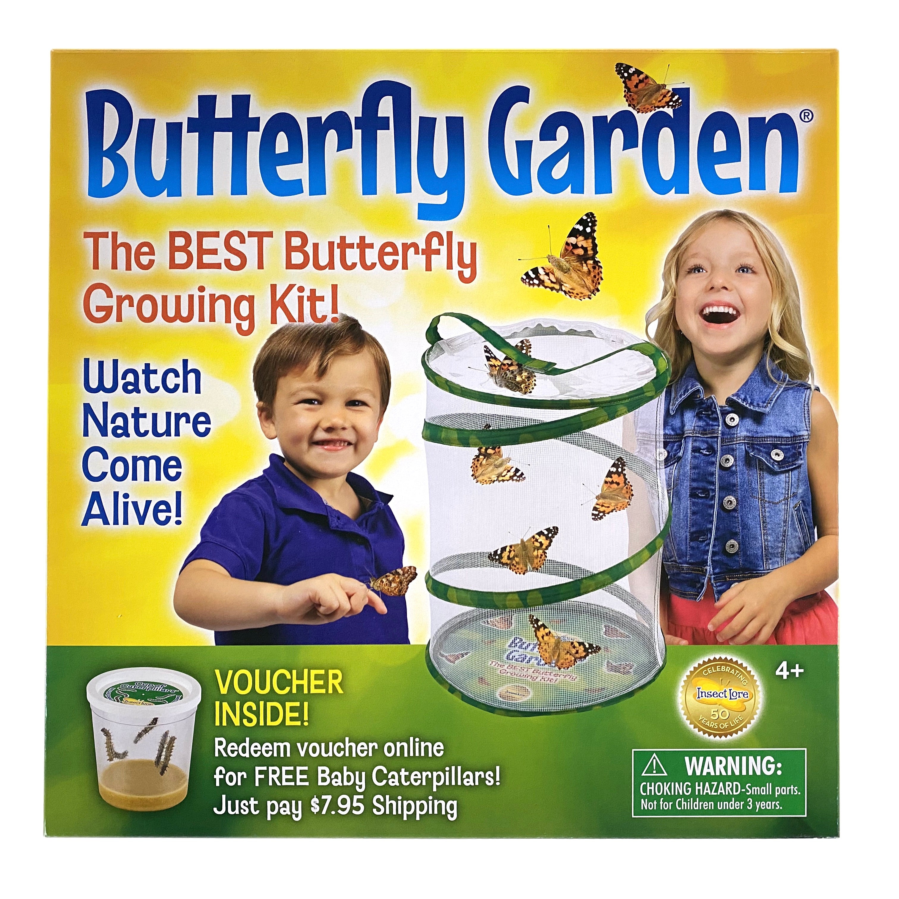 Butterfly Garden    