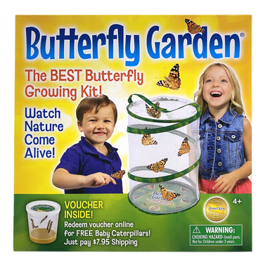 Butterfly Garden    