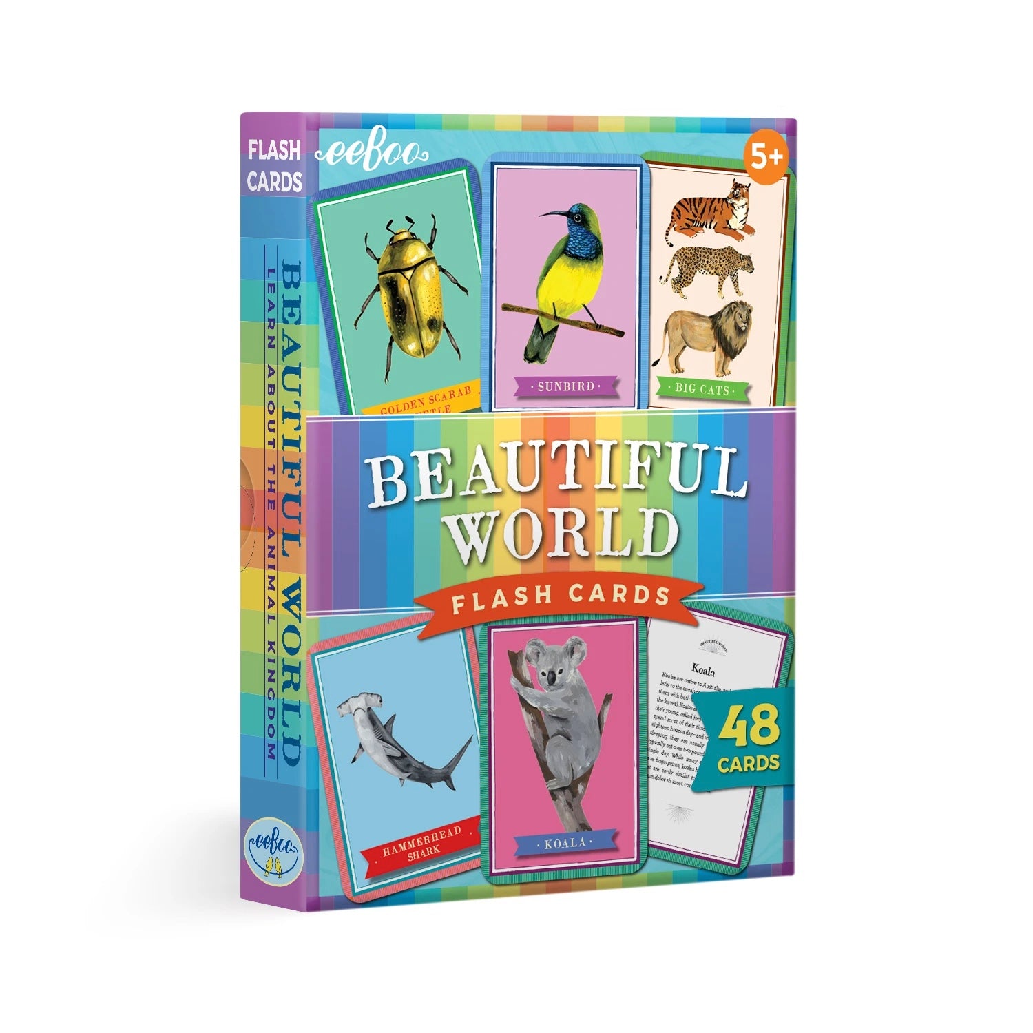 Beautiful World Flash Cards    