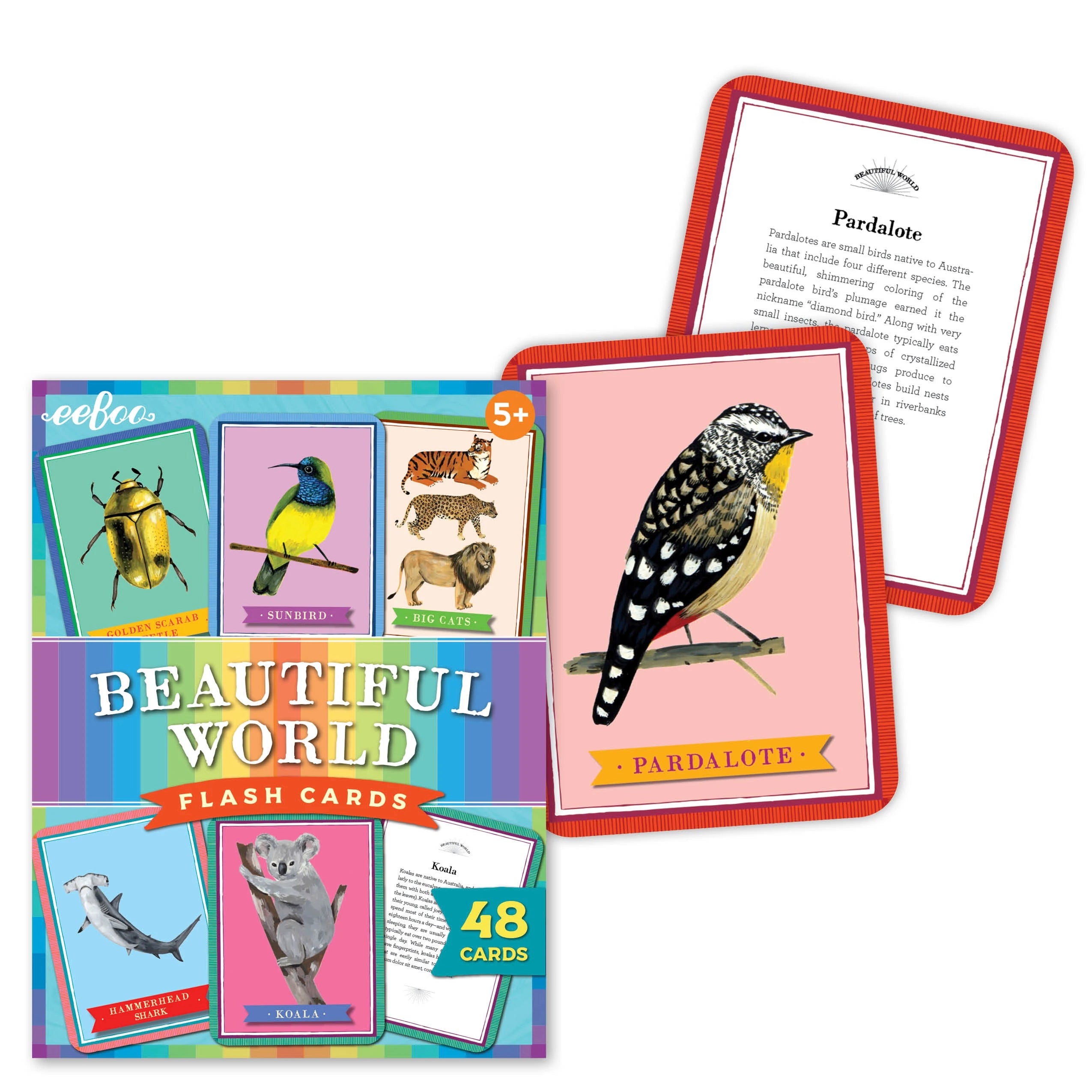 Beautiful World Flash Cards    