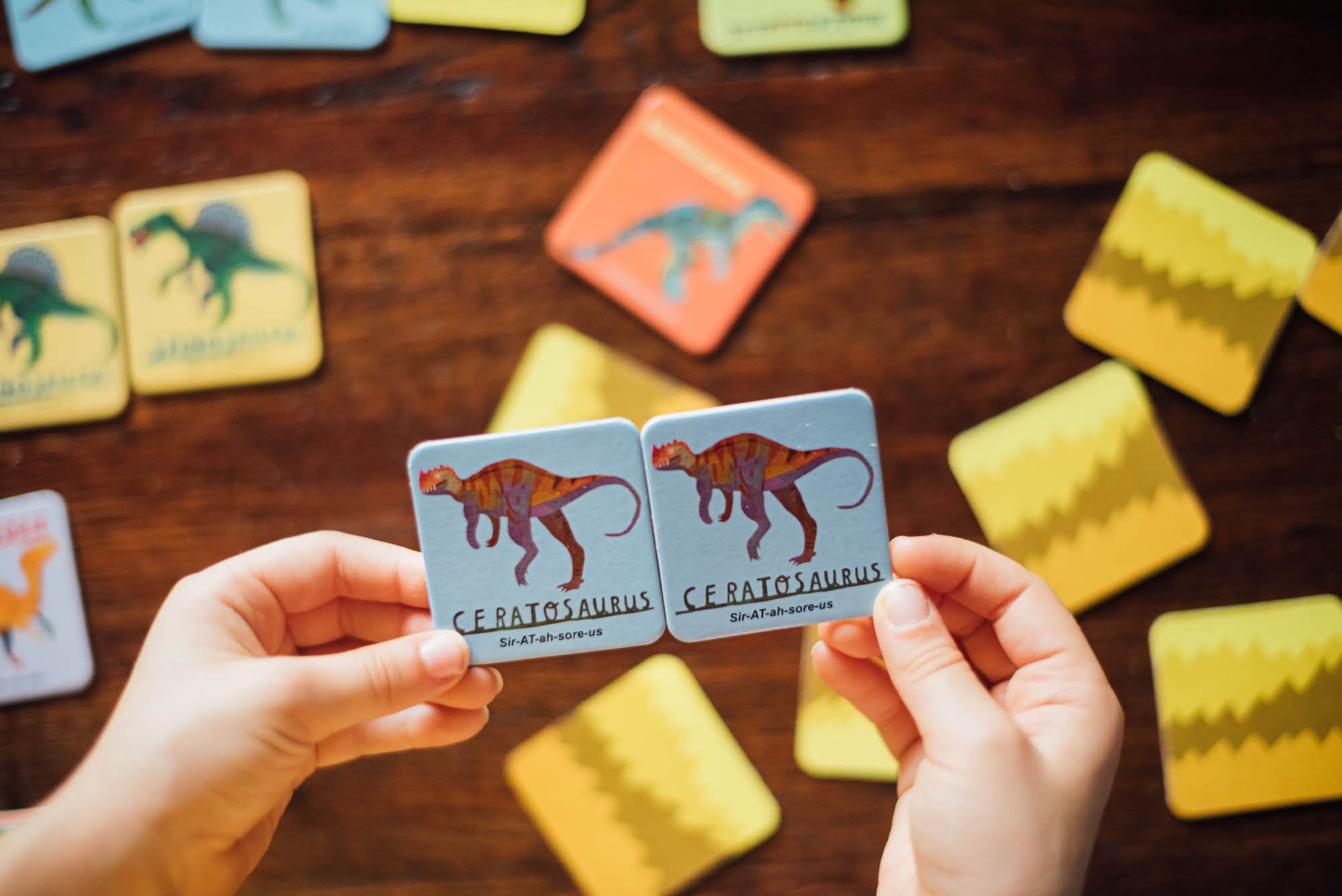 Dinosaurs Memory & Matching Game    