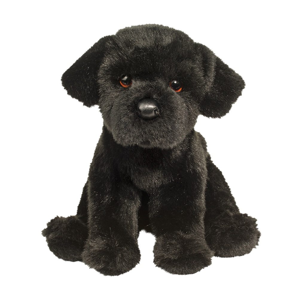 Whittaker Black Lab    