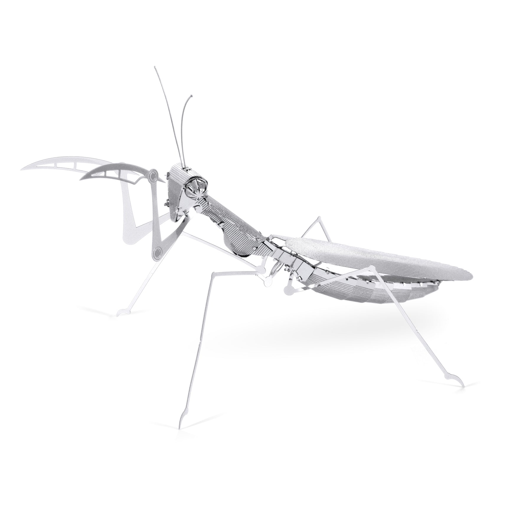 Metal Earth - Praying Mantis    