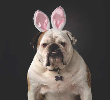 Bunny Ears Headband    