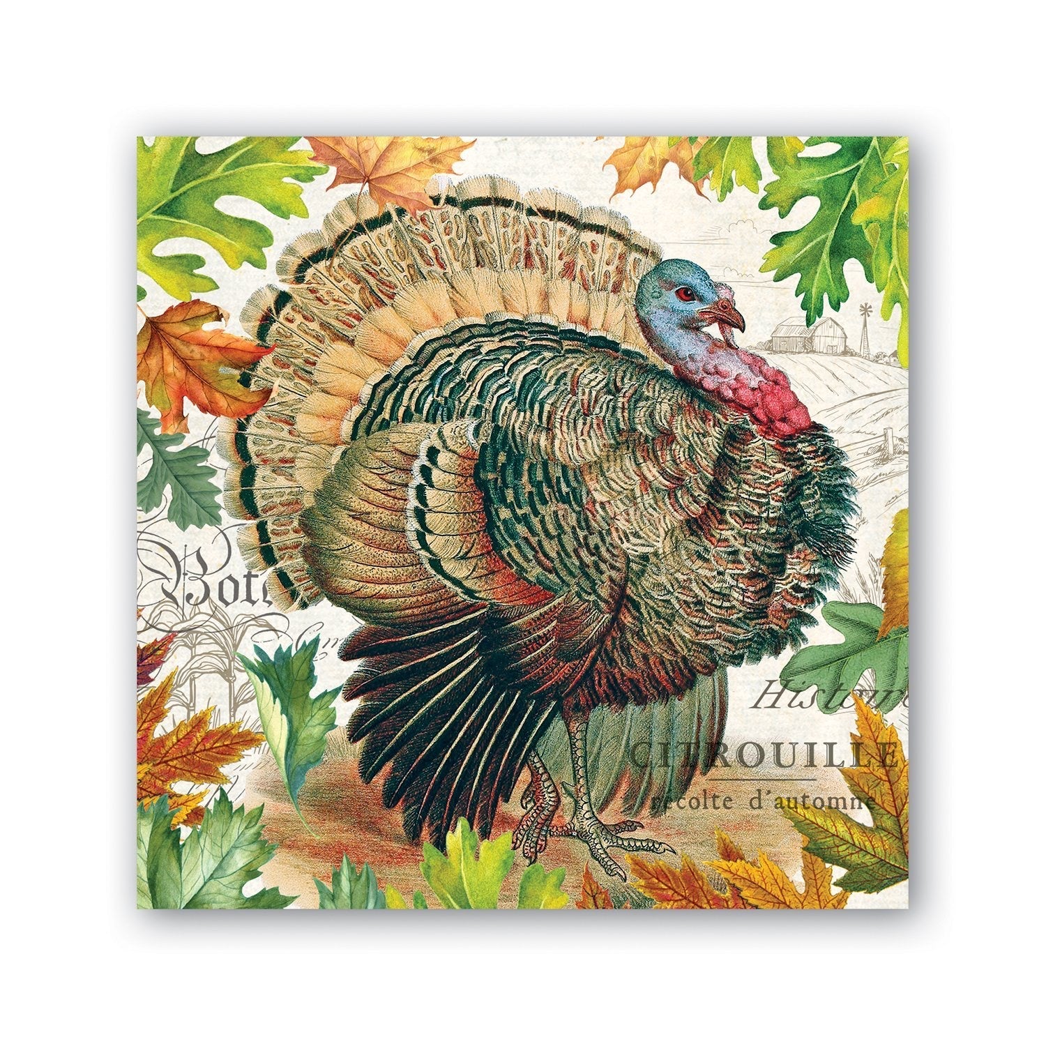 Fall Harvest Cocktail Napkins - Turkey    