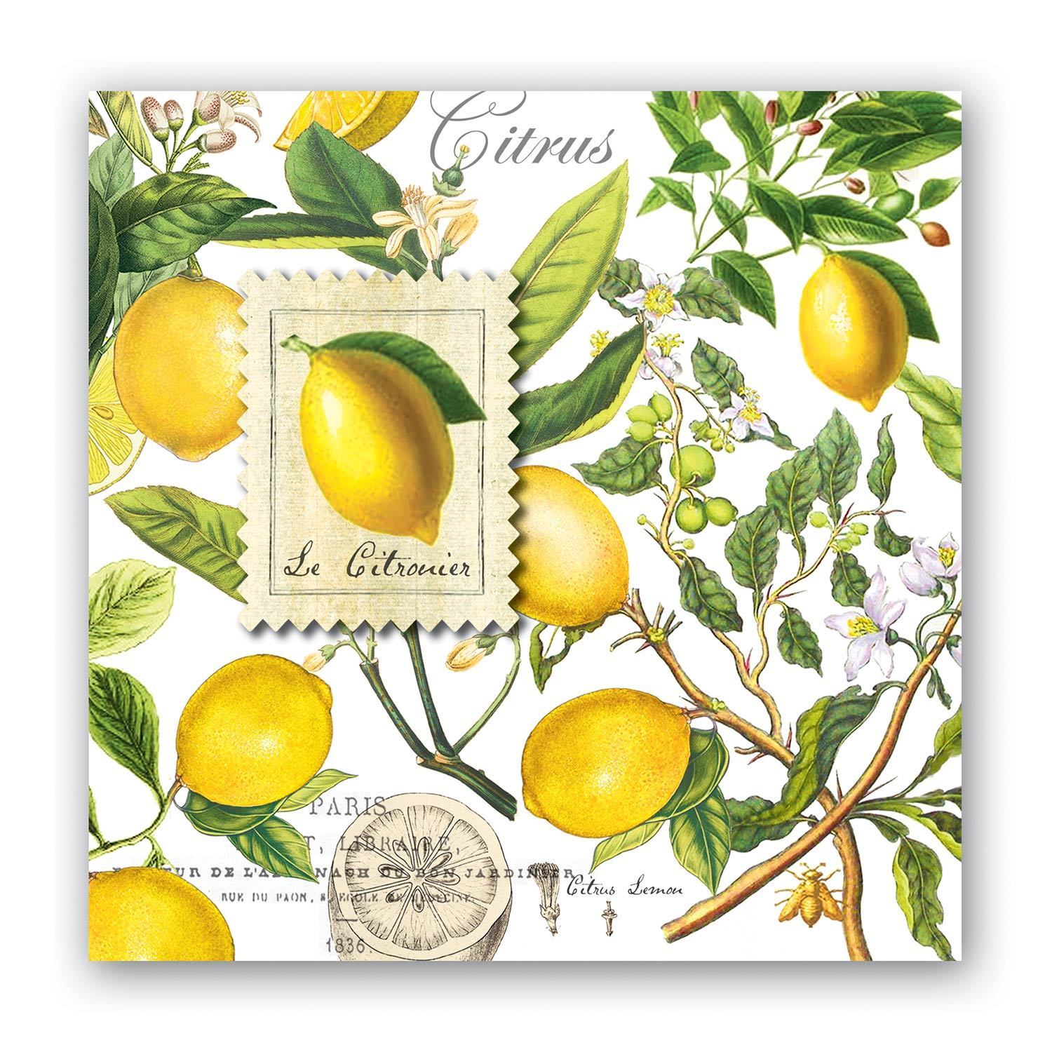 Lemon Basil - Cocktail Napkins    