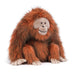 Jellycat Oswald Orangutan    