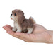 Pocket Pups Series 3 (Single) - Random Breed