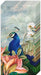 Paradise Peacock - Pocket Tissue    