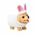 Party Puppies in Costumes (Single) - Random Style