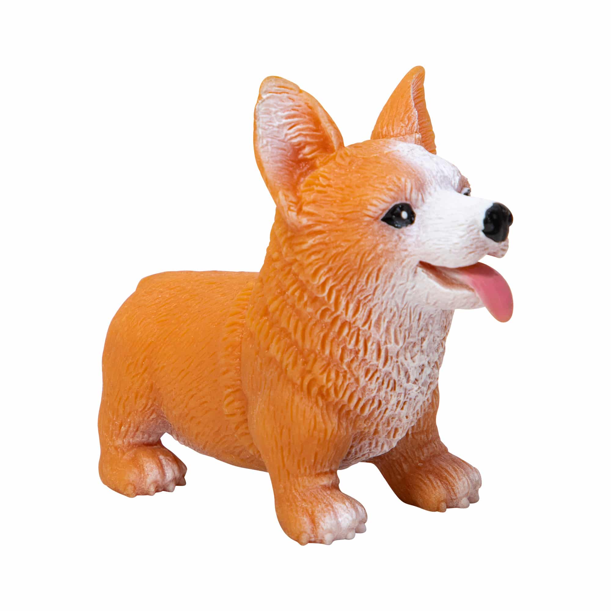 Pocket Pups (Single) - Random Breed