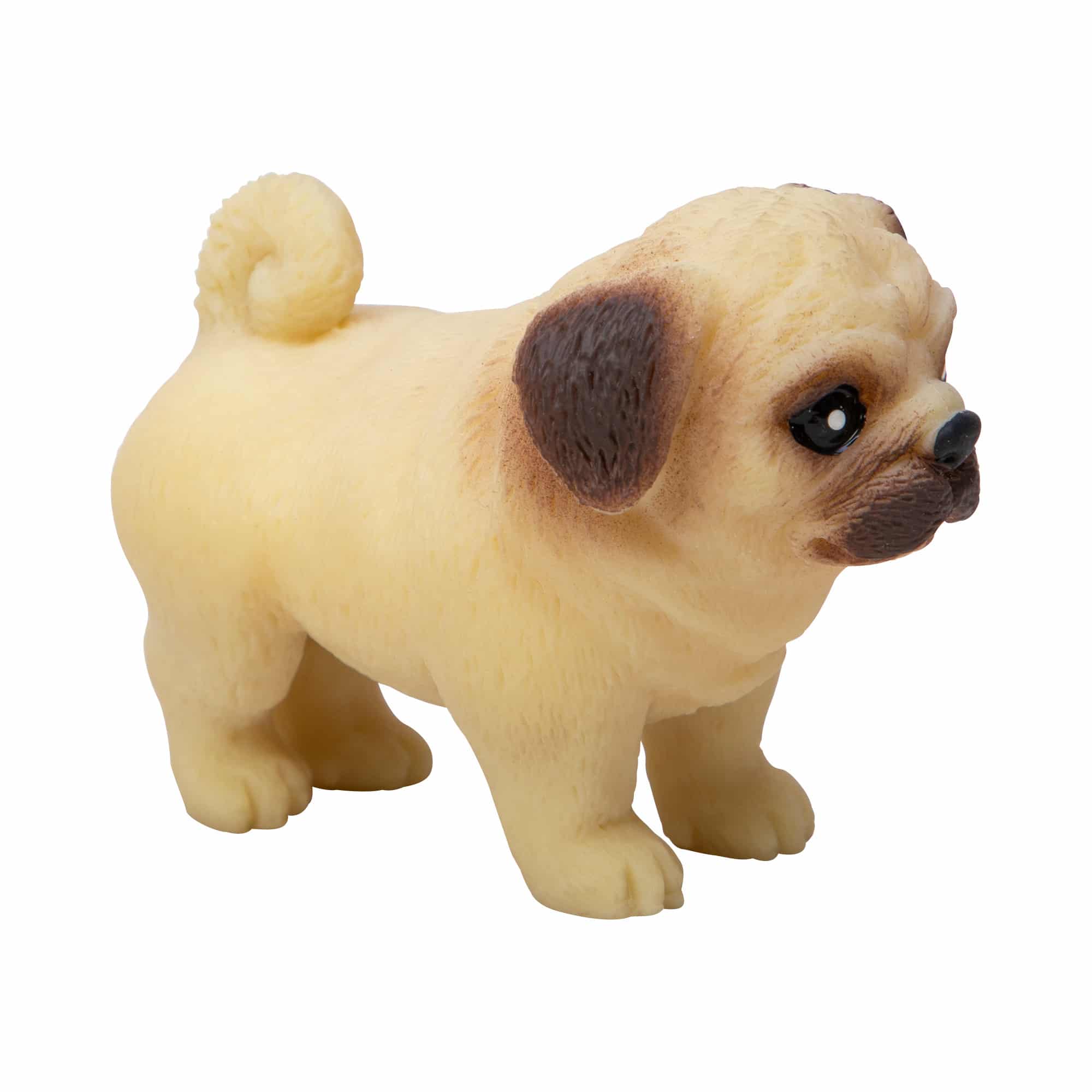 Pocket Pups (Single) - Random Breed