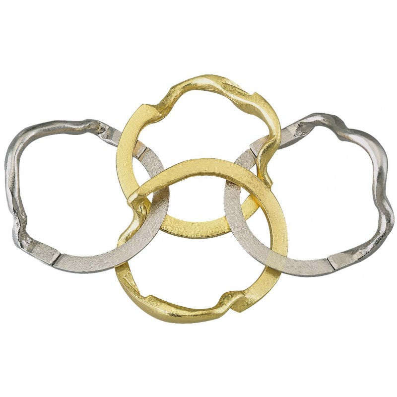 Ring - Hanayama Puzzle Level 4    