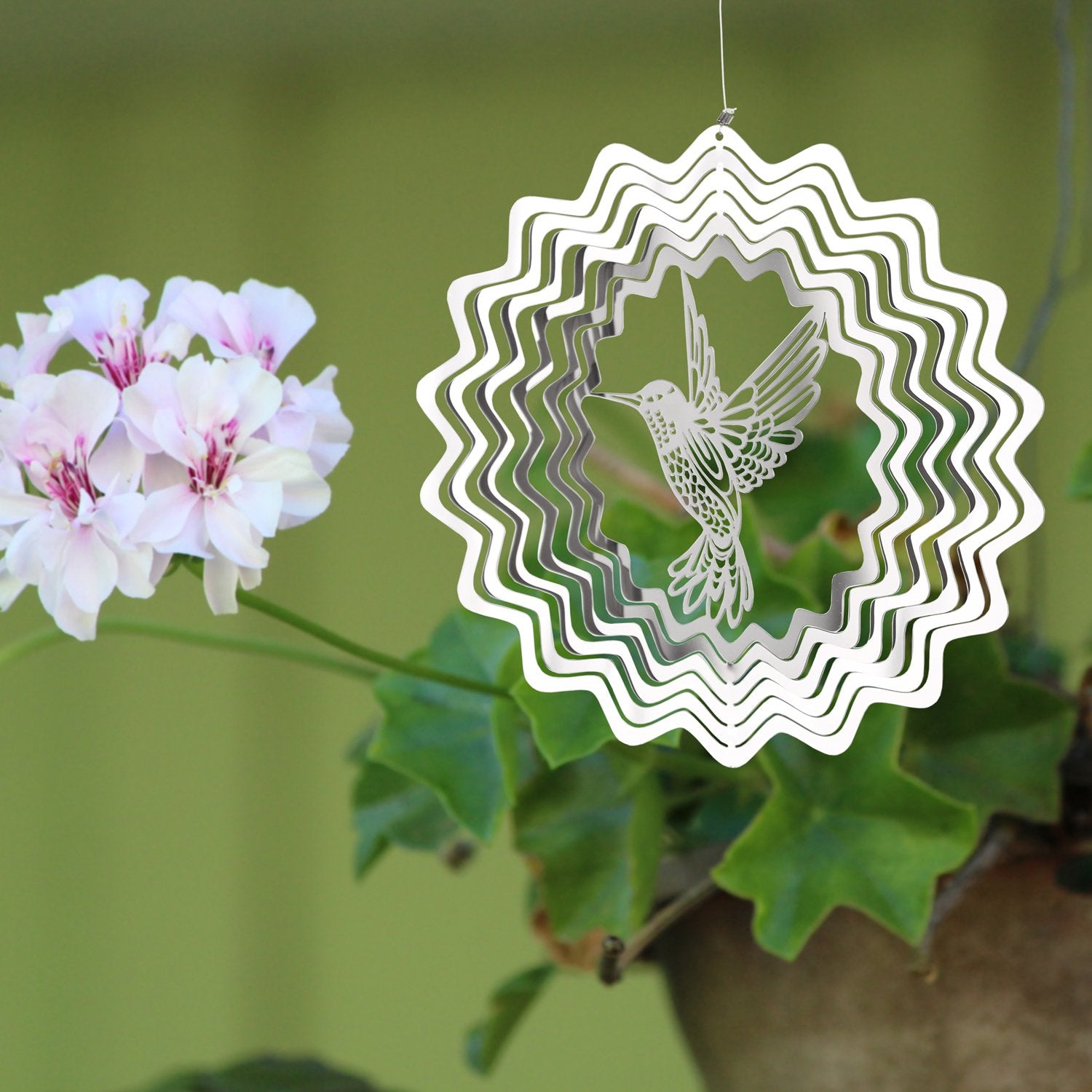 Woodstock Shimmer - Hummingbird    