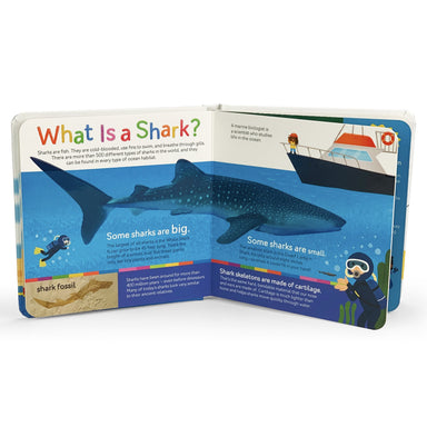 Sharks Teeth to Tail - First Discovery Books    