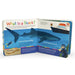 Sharks Teeth to Tail - First Discovery Books    