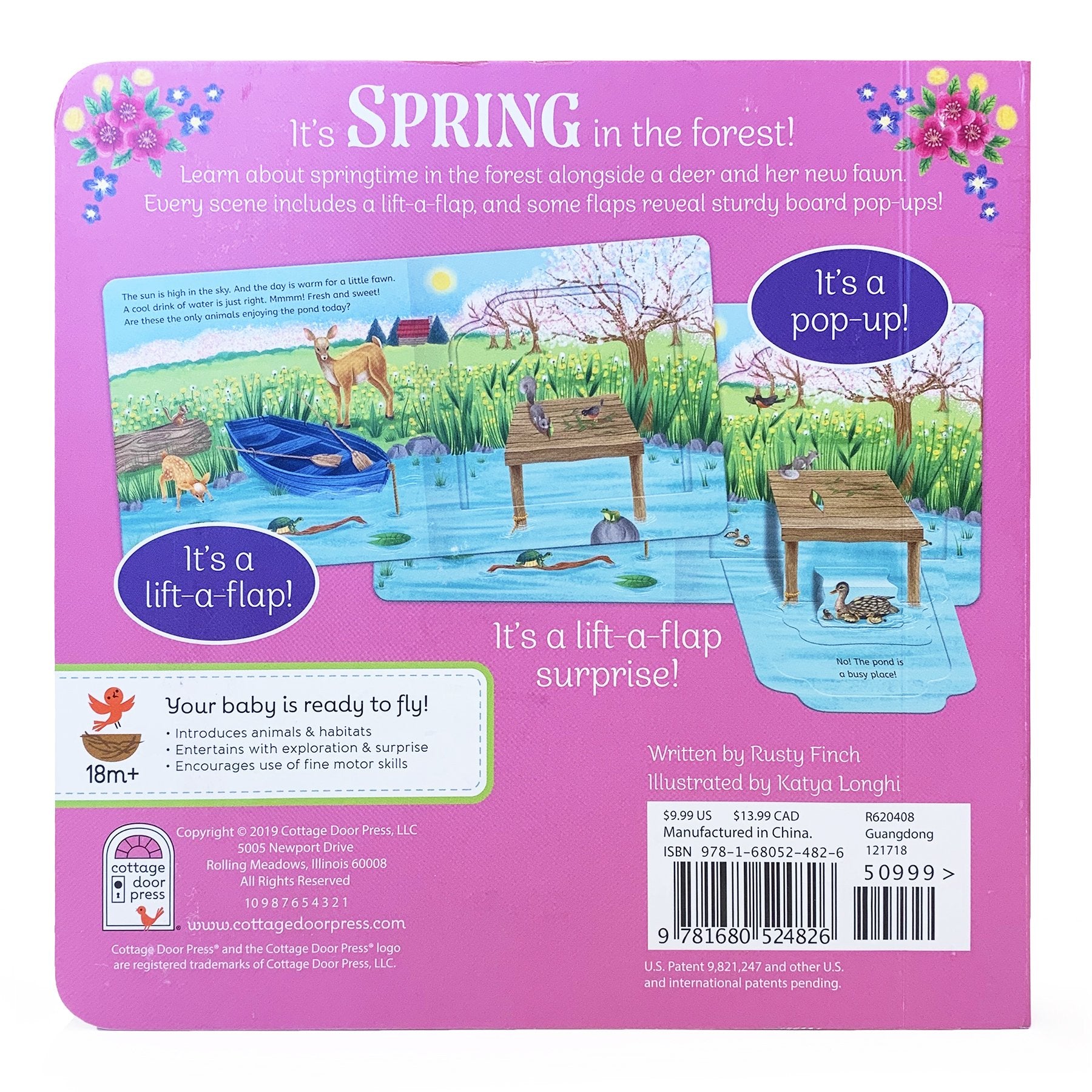 Spring in the Forest Lift A Flap Book    