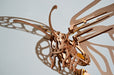 UGears Butterfly    