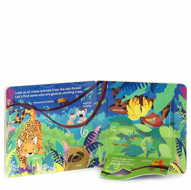 Peek-a-Flap Zoo    