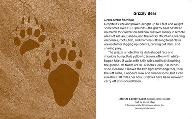Knowledge Cards - Animal & Bird Tracks    