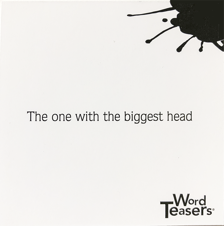 Word Teasers Riddles    