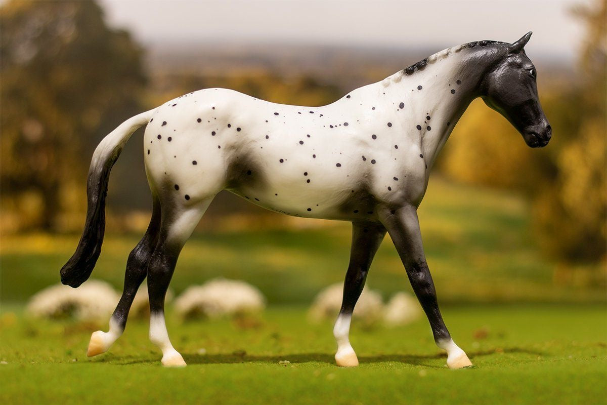 Breyer Classics - Black Semi-Leopard Appaloosa    
