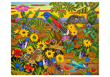 In The Wild - Billy Hassell Boxed Assorted Note Cards    