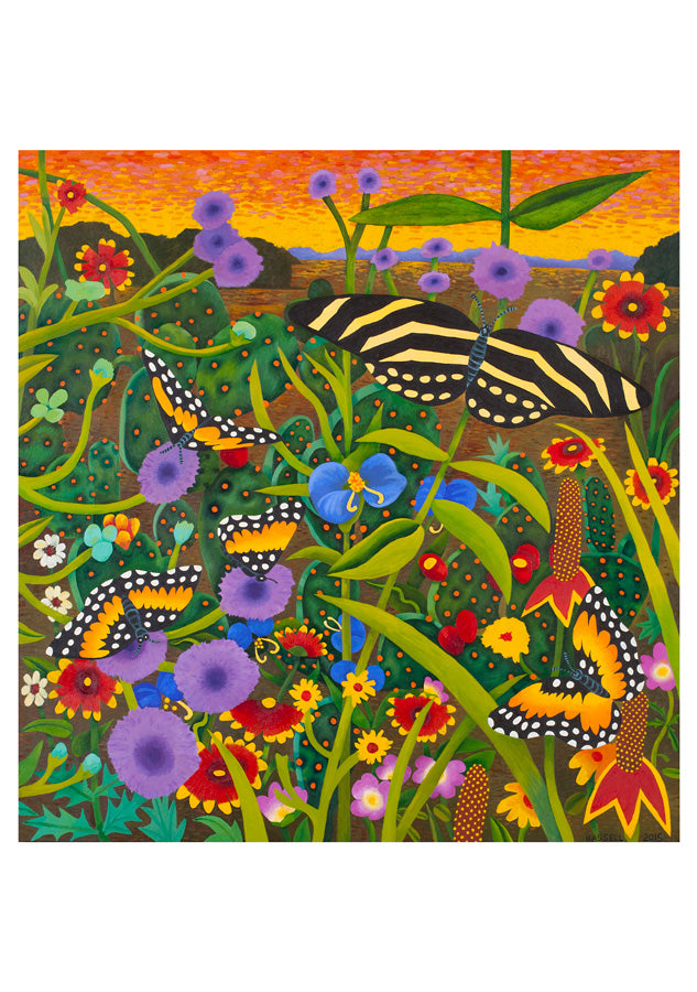 In The Wild - Billy Hassell Boxed Assorted Note Cards    