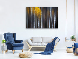 canvas-print-curtain-of-fall