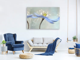canvas-print-dancing-anemones