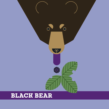 Memory Game - Charley Harper's Animals    