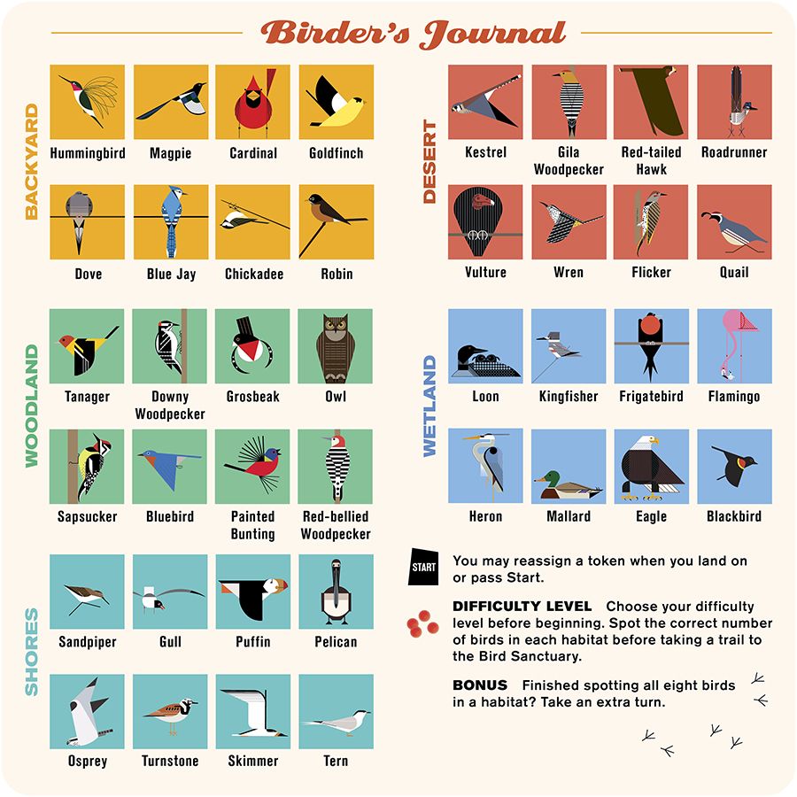 Charley Harper's Spot The Birds Board Game    