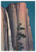 Yosemite - Chiura Obata Boxed Assorted Note Cards    