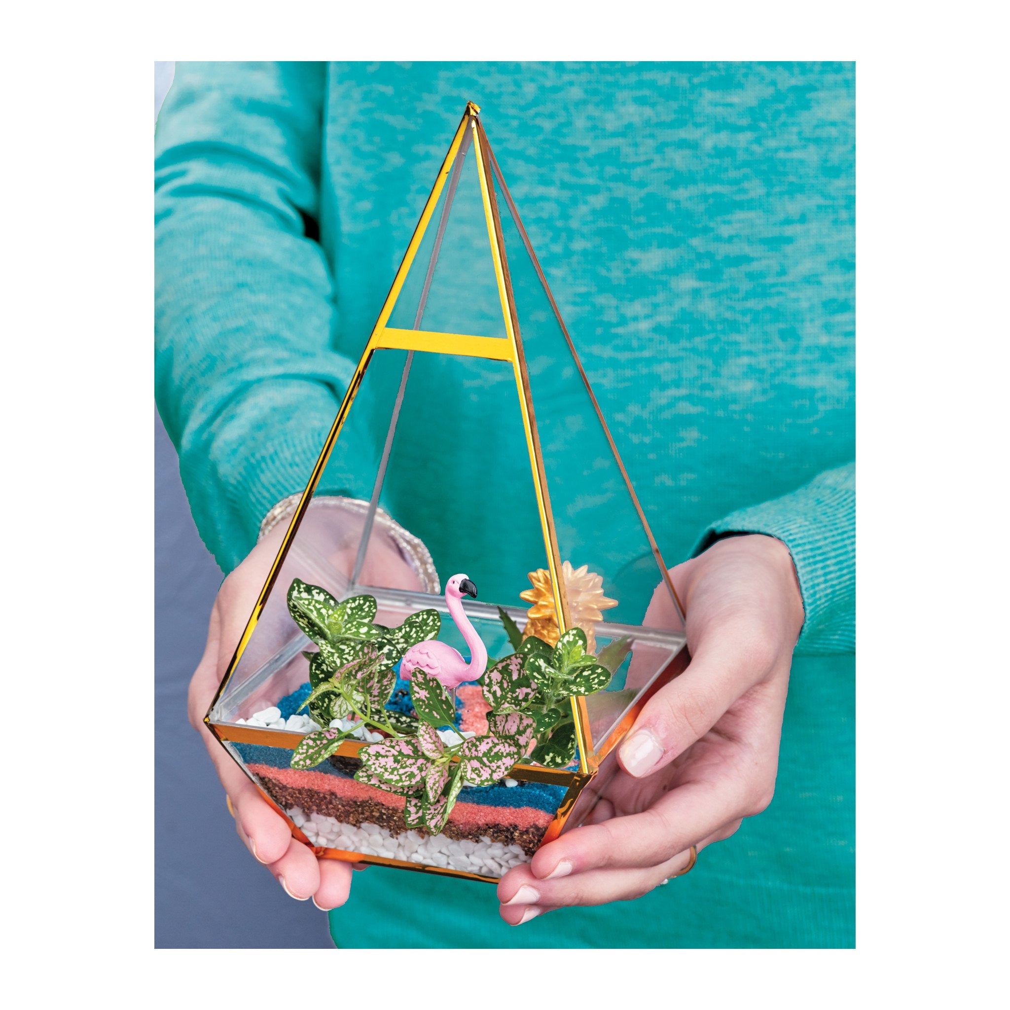 Tropical Terrarium Container Gardening    