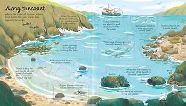 Look Inside Seas and Oceans    