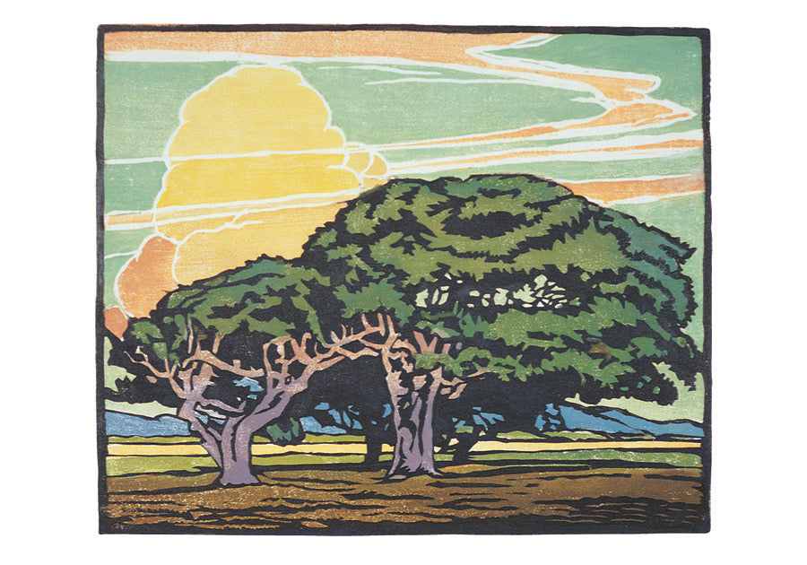 Del Monte Oaks - William S. Rice Boxed Note Cards    