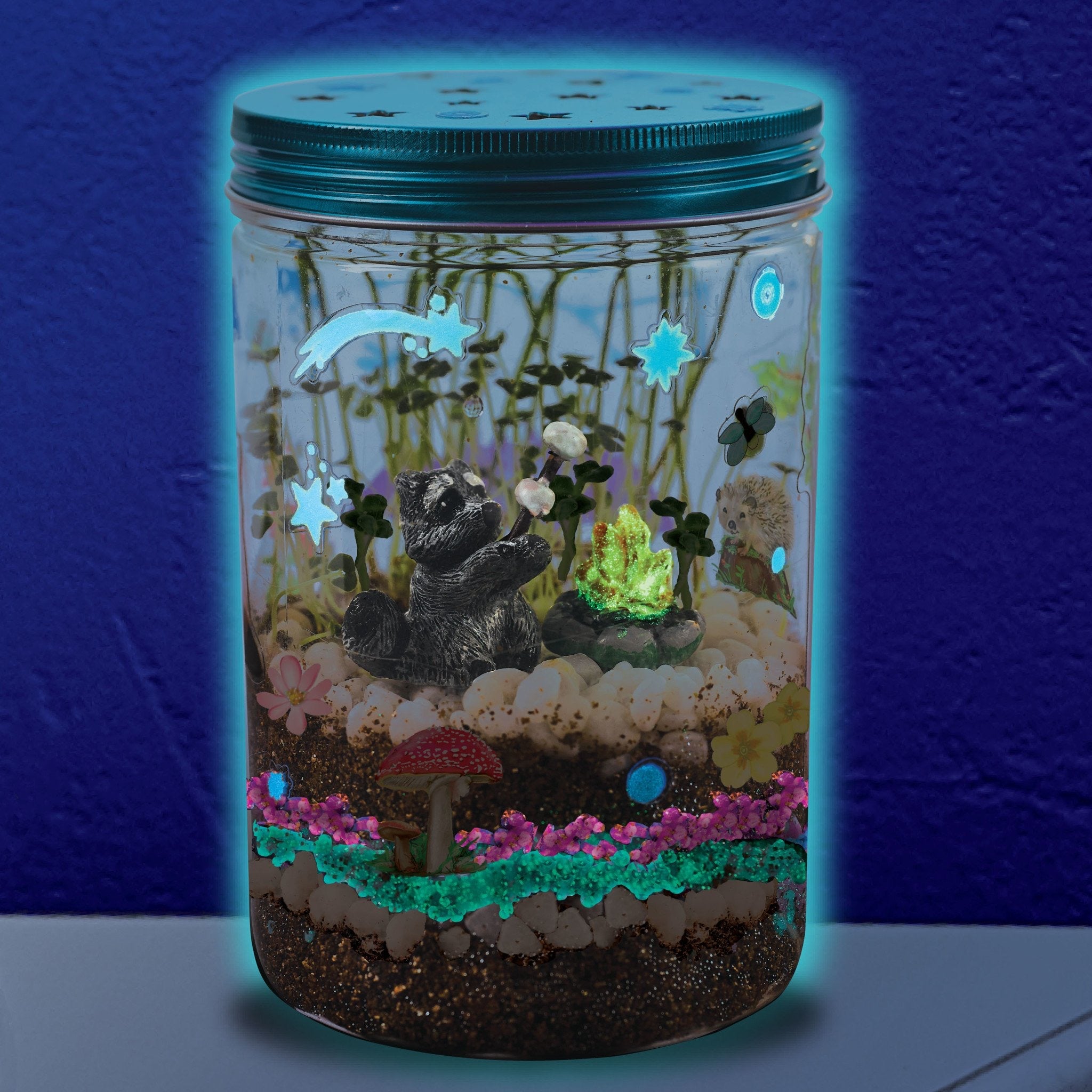Grow N' Glow Terrarium    