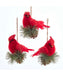 Cardinal With Pinecone And Greenery Ornament (Single) - Random Style