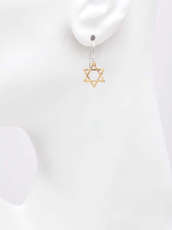 Holly Yashi Star of David Earrings - Silver    