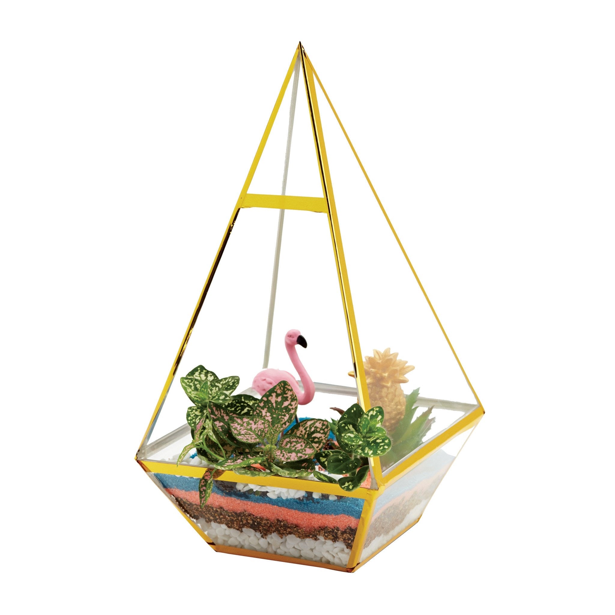 Tropical Terrarium Container Gardening    