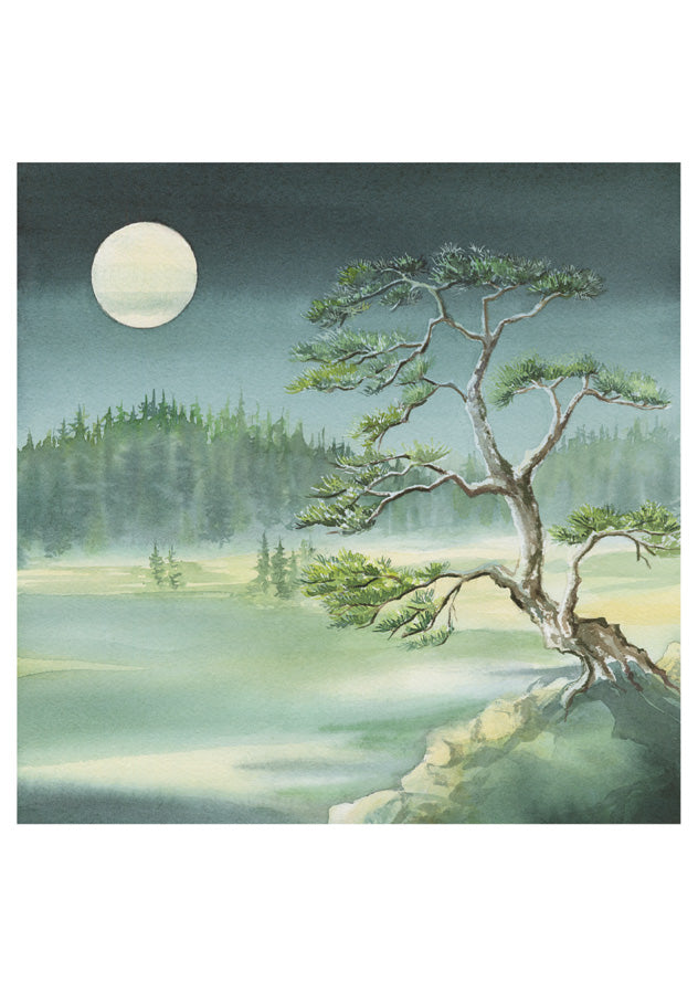 Molly Hashimoto Full Moon Assorted Notecard Folio    